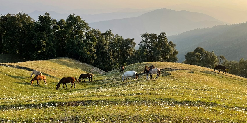 Dehradun is one of the most amazing and beautiful hill stations near Ajmer for travellers.