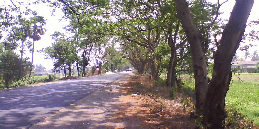 Delhi-Jaipur Highway near Neemrana Fort is known for Ghostly women in white sightings.