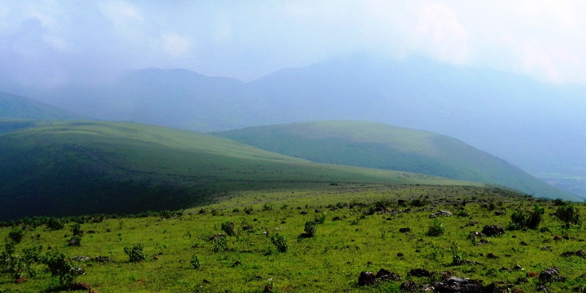 A wide angle view of the Deomali peak, the highest peak in Odisha, offering stunning views.