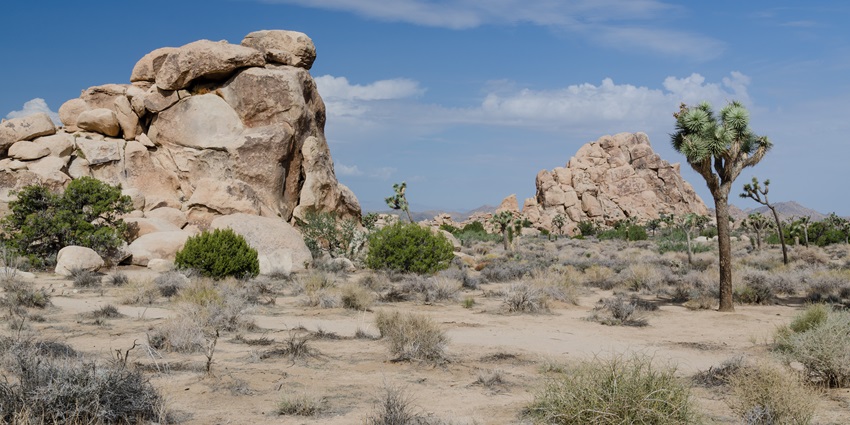 The vast Desert National Park, a unique desert ecosystem and a major attraction.