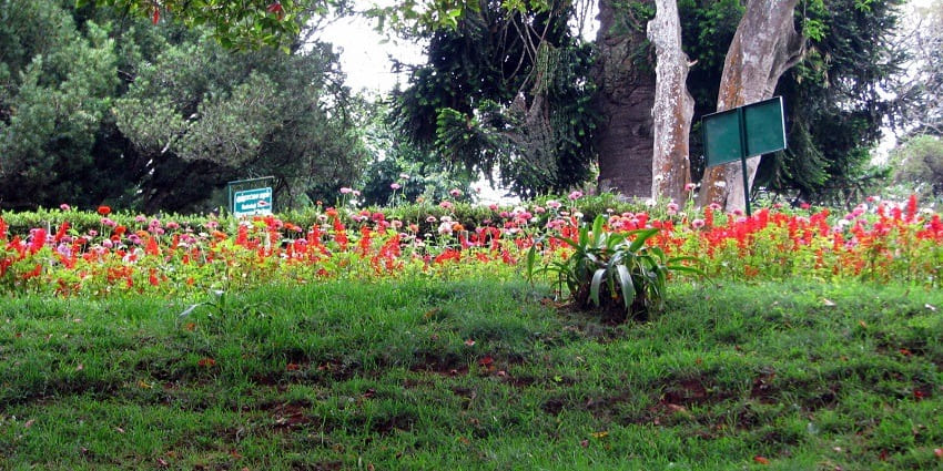 This park houses a diverse variety of plants with rich medical values