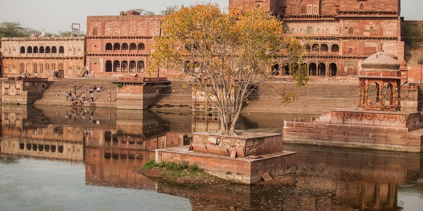 Dholpur Palace, an architectural gem, showcases Rajasthan's royal heritage