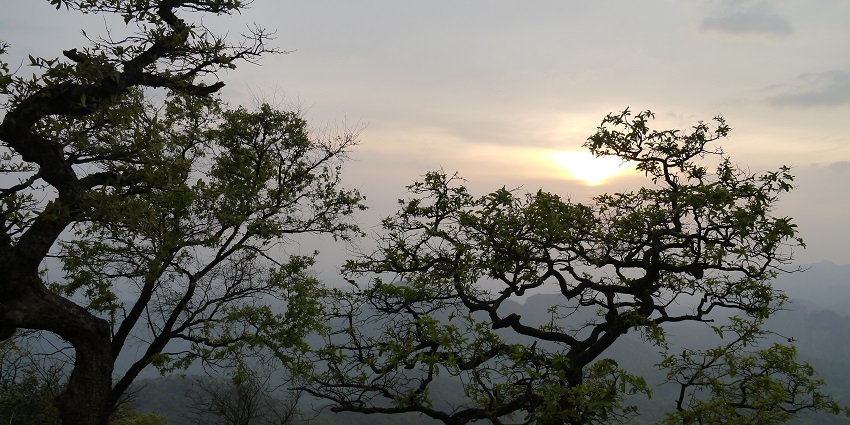 Panoramic view from Dhoopgarh, a popular destination near Jatashankar Temple, showcasing expansive landscape