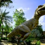 A large Tyrannosaurus Rex dinosaur statue in the Dinosaur Fossil National Park.