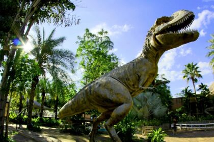 A large Tyrannosaurus Rex dinosaur statue in the Dinosaur Fossil National Park.