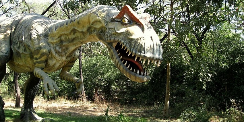 A close-up image of one of the skeletons of a huge dinosaur that has been carefully preserved.