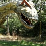 The Dinosaur Fossil Park and Museum photos make it a popular attraction in Raiyoli.