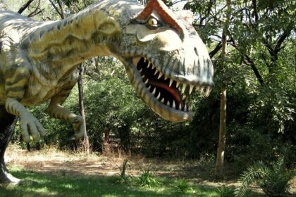 The Dinosaur Fossil Park and Museum photos make it a popular attraction in Raiyoli.