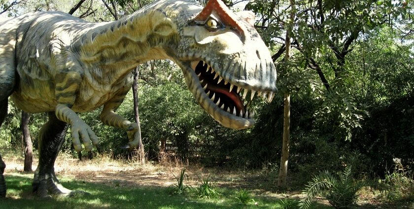 The Dinosaur Fossil Park and Museum photos make it a popular attraction in Raiyoli.