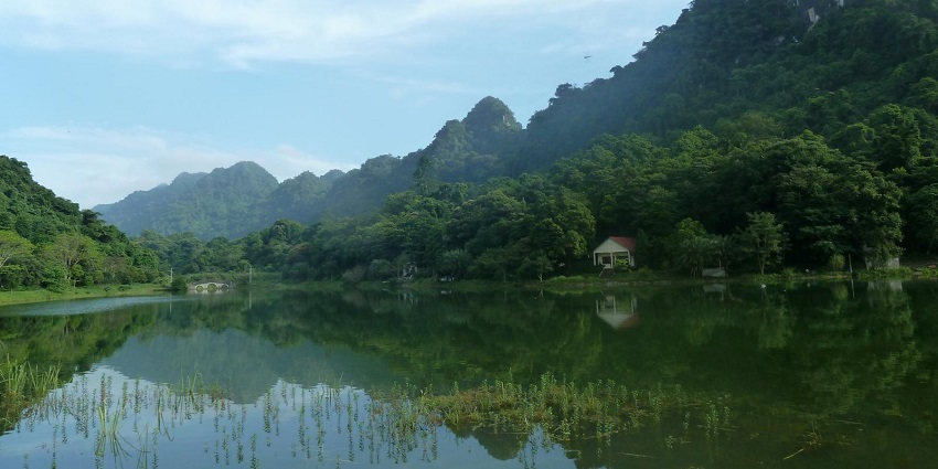 Cuc Phuong National Park is an ideal destination for nature walks and wildlife observation