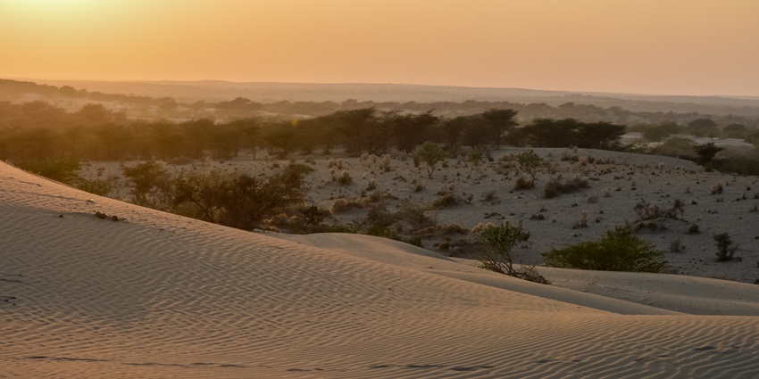 Mahabar Sand Dunes is amongst the ideal thing to do in Barmer for desert safari enthusiasts