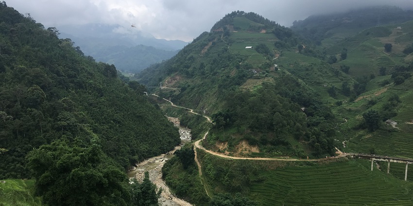 Picturesque view of lush Mường Hoa Valley with terraced rice fields and distant mountains in Vietnam