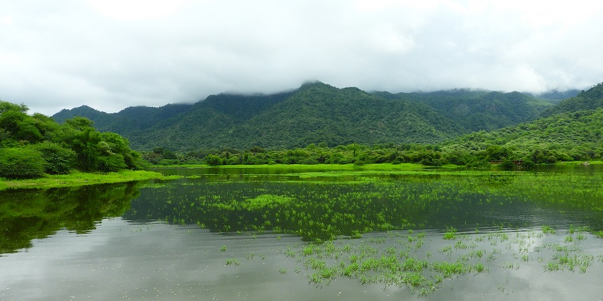 The image shows the Ranakpur Dam with a broad view of the water reservoir and the surrounding ecology.