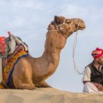 Festivals in Rajasthan celebrate heritage with lively customs, parades, and performances