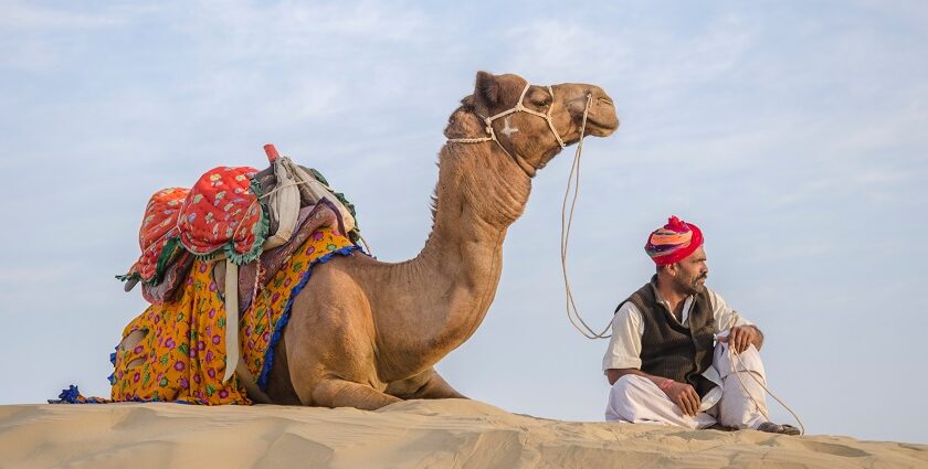 Festivals in Rajasthan celebrate heritage with lively customs, parades, and performances