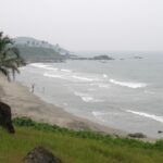 An aerial picture of one of the most famous beaches in Goa with pine trees and greenery