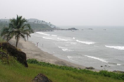 An aerial picture of one of the most famous beaches in Goa with pine trees and greenery