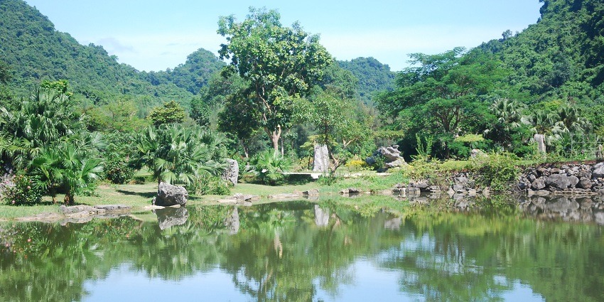 Thung Nham Bird Garden is renowned for bird watching and scenic boat tours