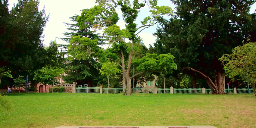 District Park is one of the famous places to visit in Janakpuri for recreational fun.