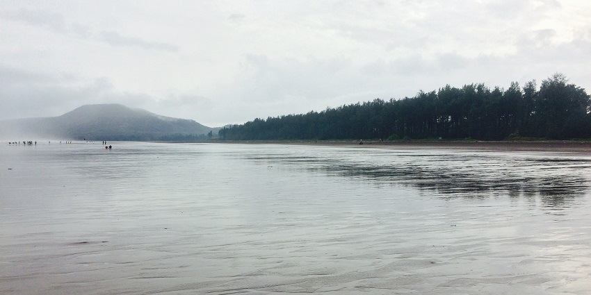 Places to visit in Diveagar feature a Beach with golden sand and coconut palm trees.