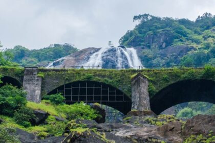 A breathtaking view of a waterfall in Goa surrounded by lush greenery during the day.