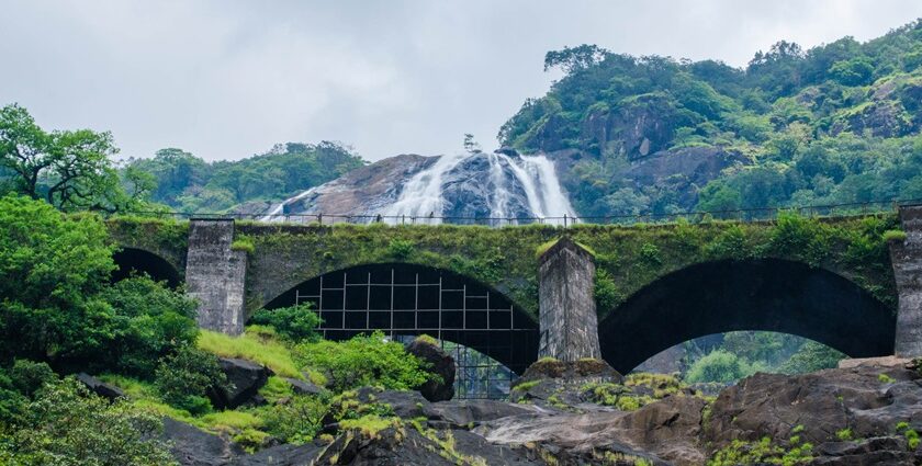 A breathtaking view of a waterfall in Goa surrounded by lush greenery during the day.