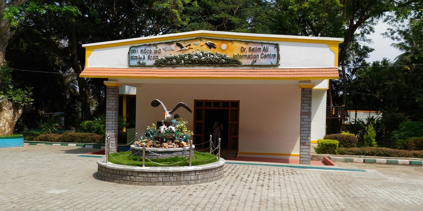 Visitors enjoy peaceful walks in Dr. Salim Ali Bird Sanctuary.