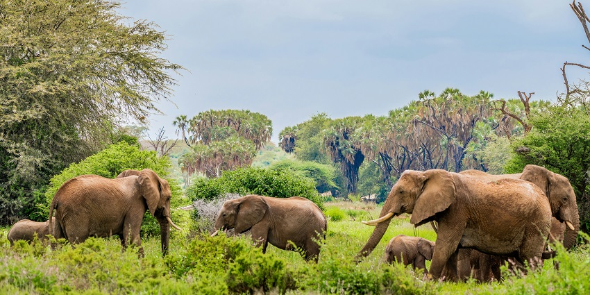 Dr. Salim Ali Bird Sanctuary is one of the ideal places to visit near Goa within 50 km for wildlife enthusiasts