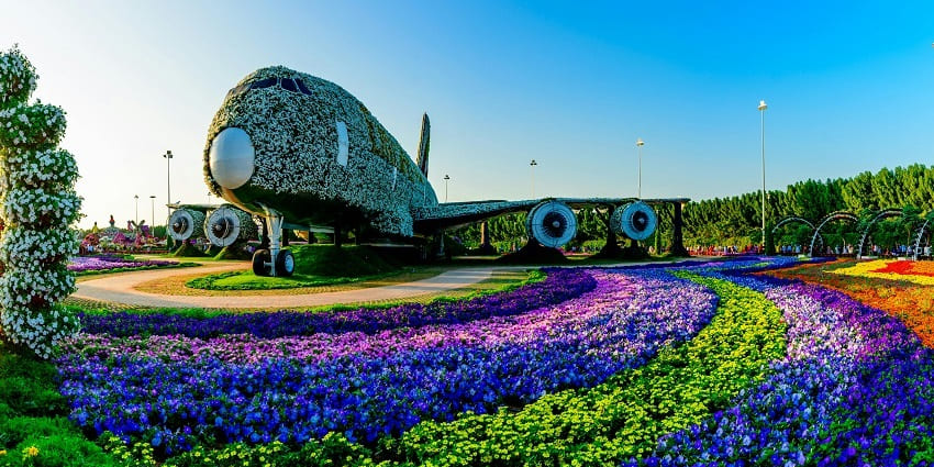 Miracle Garden with a large aeroplane surrounded by an array of flowers in full bloom.