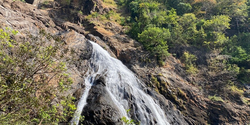 Dudhsagar Waterfalls guarantees peace and quiet to all who attend.
