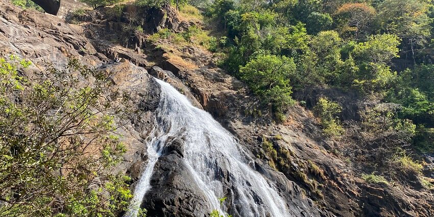 Dudhsagar Falls is one of the best places to visit in Goa and a must visit attraction.