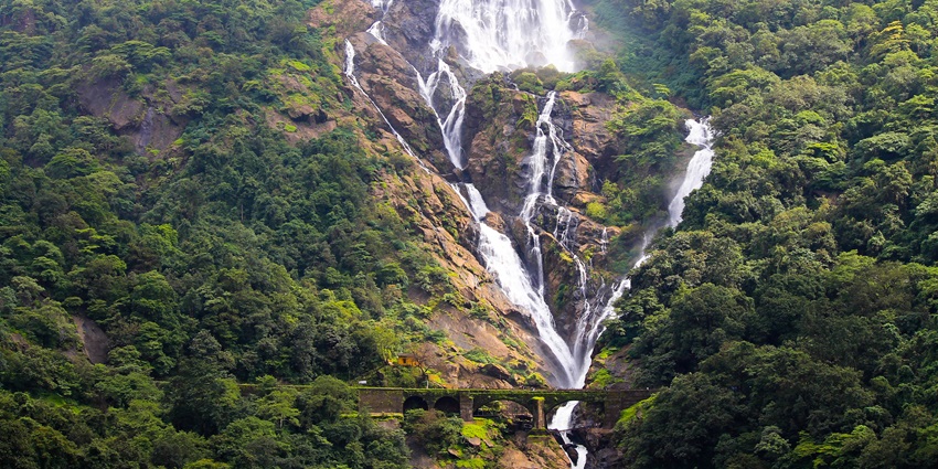 The cascading Dudhsagar Waterfalls, one of the famous places to visit in Goa in August.