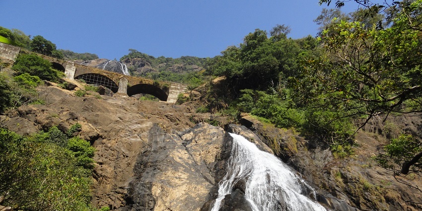 Views of the beautiful Dudhsagar Waterfalls amidst the jungle of Goa
