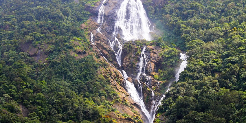 Dudhsagar Waterfalls, decked with greenery, is located near Bhimgad Wildlife Sanctuary.