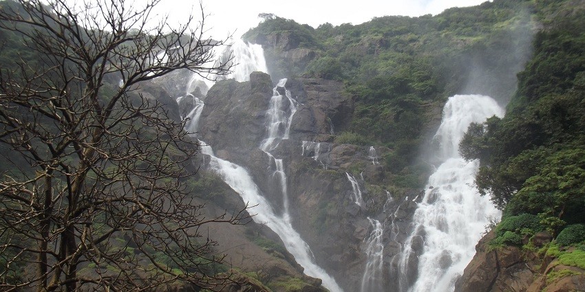 A picture of the most famous waterfall in Goa near Margao, surrounded by greenery