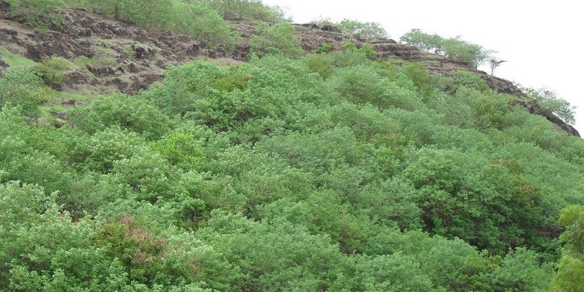 Durgadi Tekdi is a small hillock in this town which is considered one of the scenic places to visit in Baner