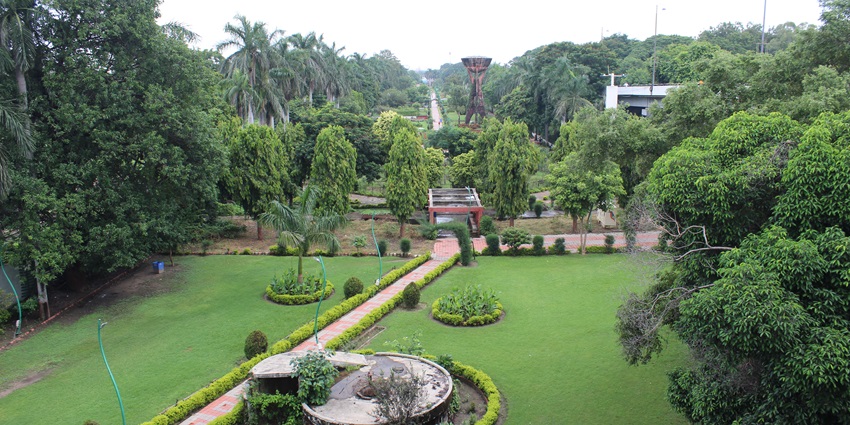 A picturesque garden filled with flourishing trees and bushes