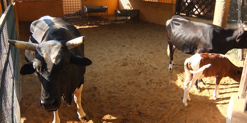Interactive farm featuring local ecosystems, animals, and sustainable organic farming