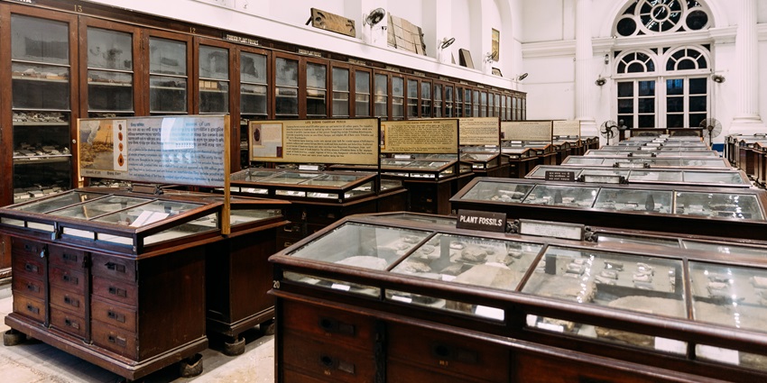 Displayed antiques in a famous museum in Indore, such as the Educational Museum.