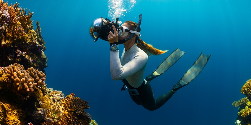 An image of a person wearing all scuba gear in deep water, almost touching a sea turtle.