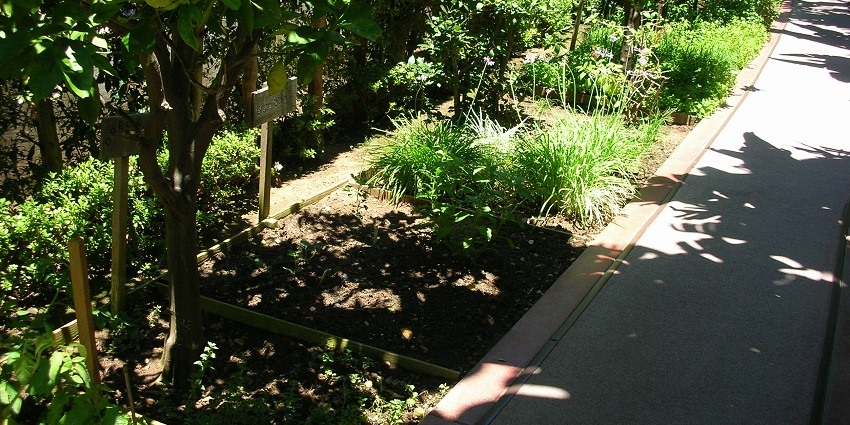 Ella Spice Garden showcasing vibrant plants and herbs with scenic mountainous surroundings