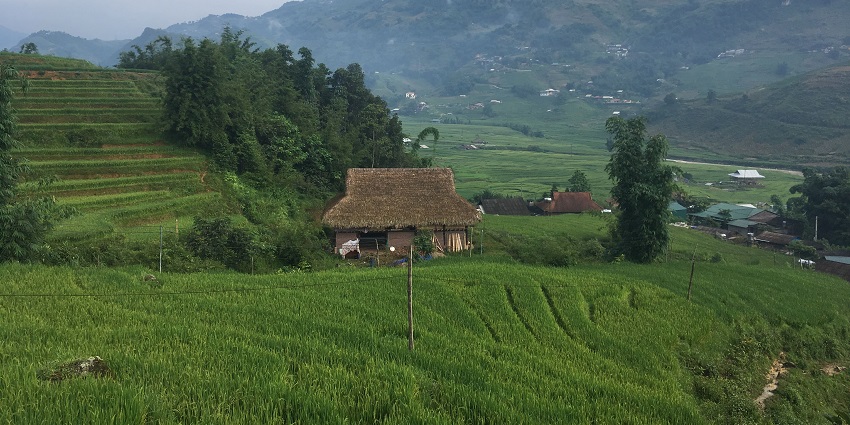 Expansive terraced rice fields in Ta Van Village, a highlight of Sapa’s landscape and a great homestay option