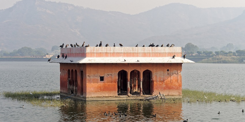 Visiting the Hameer Sagar Lake in Kishangarh is one of the best things to do in Kishangarh