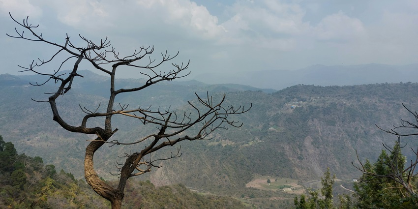 Morni Hills is one of the top things to do in Mohali, offering a scenic view of greenery.