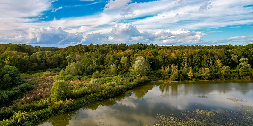 Cherish a beautiful panoramic view of the calming Pashan Lake decked with lush greenery.