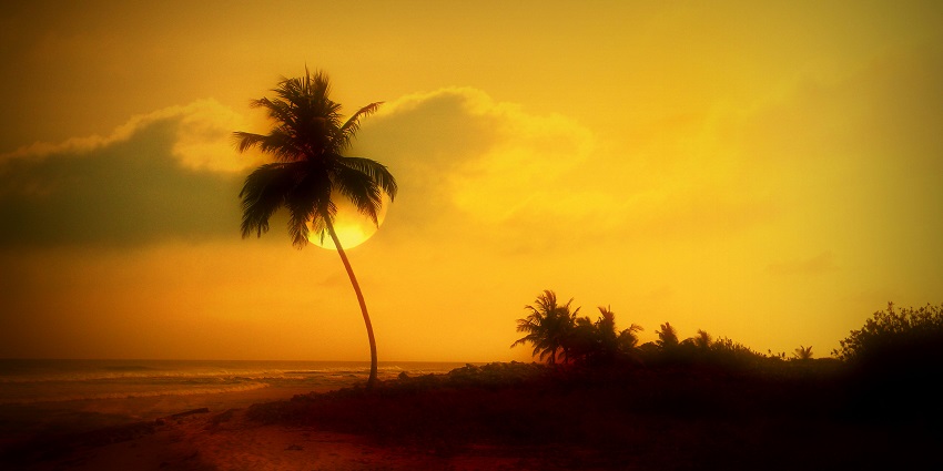 Enjoying the nightlife at Agatti Island is one of the best things to do for travellers.