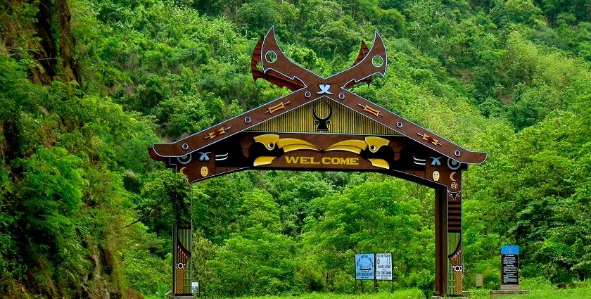 Scenic view of a winding road leading through lush green hills in Kohima, Nagaland, India.