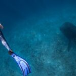 An image of a woman snorkelling in the water of Phi Phi Island, a tropical Paradise.