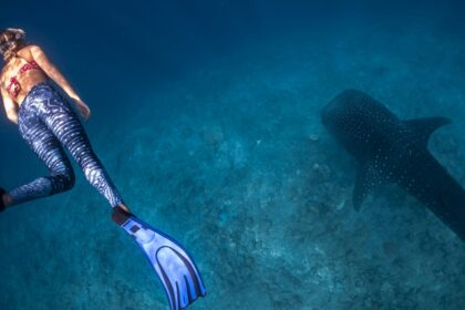 An image of a woman snorkelling in the water of Phi Phi Island, a tropical Paradise.