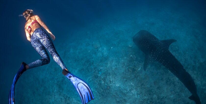 An image of a woman snorkelling in the water of Phi Phi Island, a tropical Paradise.